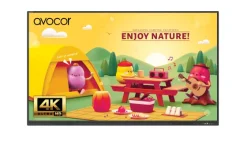 Avocor AVS-7510 Écran interactif LED IR 4K de 75 pouces de la série S, destiné aux espaces d'apprentissage modernes
