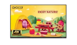 Avocor AVS-6510 Écran interactif LED infrarouge 4K de 65 pouces de la série S, destiné aux espaces d'apprentissage modernes
