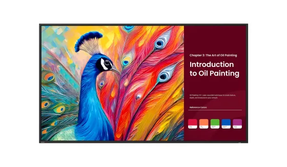 BenQ SH6504 Écran Pro Signage de 65 pouces certifié Pantone pour des présentations professionnelles
