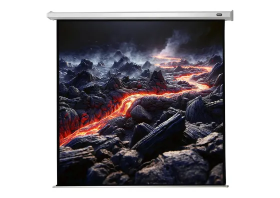 celexon écran de projection motorisé Economy 180 x 180 cm - 100"