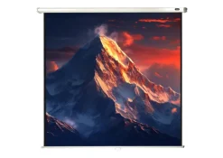 celexon écran de projection manuel Economy 180 x 180 cm - 100"
