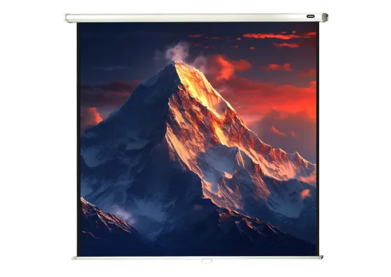 celexon écran de projection manuel Economy 180 x 180 cm - 100"