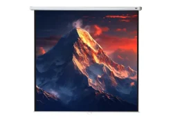 celexon écran de projection manuel Economy 300 x 300 cm - 167"
