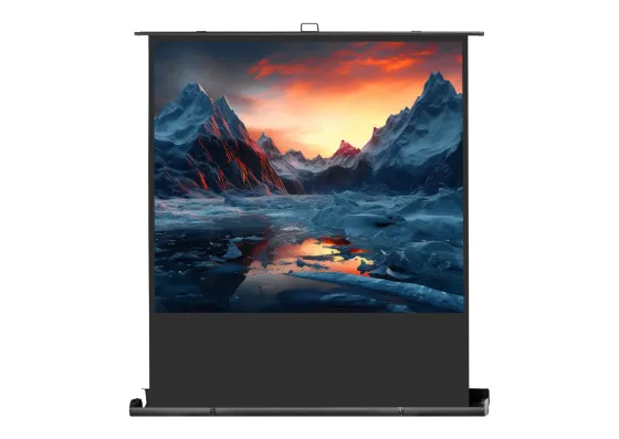 celexon écran de projection Mobile Professionnel Plus 200 x 150 - 98"