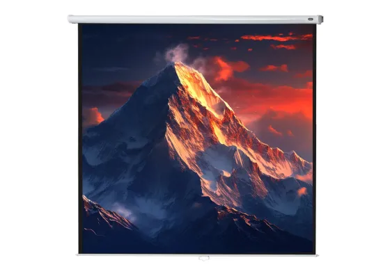 celexon écran de projection manuel Economy 240 x 240 cm - 134"