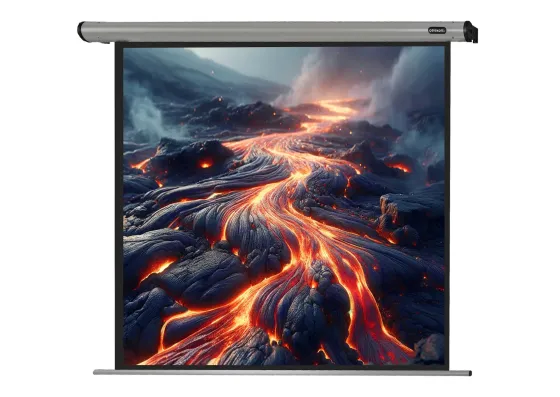 Écran de projection motorisé celexon HomeCinema 220 x 220 cm
