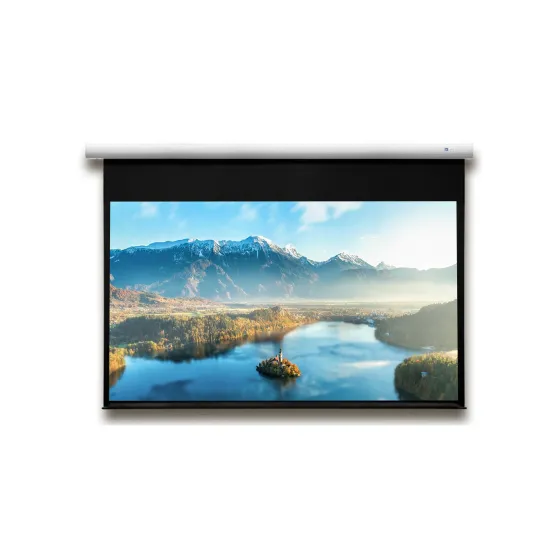 Écran de projection motorisé DELUXX Advanced Elegance 16:9 Blanc Mat Polaro 221 x 124, 100"