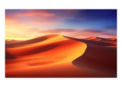 Écran de projection sur cadre celexon Expert PureWhite 250 x 140 cm