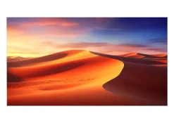 Écran de projection sur cadre celexon Expert PureWhite 350 x 219 cm