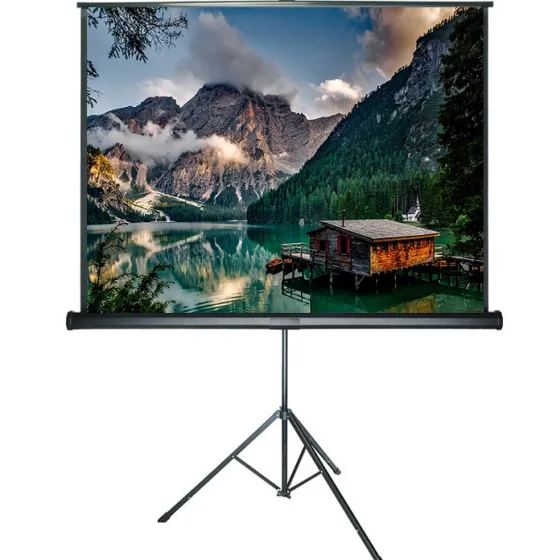 Écran de projection sur pied DELUXX Expert 1:1 Blanc Mat Polaro 203 x 203
