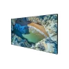 DELUXX Cinema Ecran sur cadre SlimFrame 177 x 99cm, 80" - 4K Pro Flex MWHT