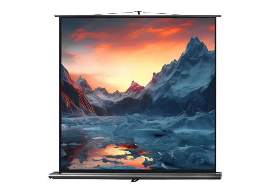 Ecran de projection celexon Ultramobile PRO 200 x 200 cm