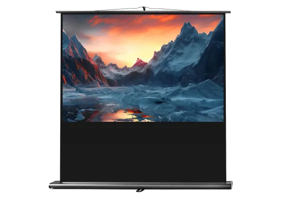 Ecran de projection celexon Ultramobile PRO 160 x 100 cm
