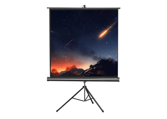 Ecran de projection sur pied celexon Economy 244 x 244 cm