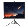 Ecran de projection sur pied celexon Economy 244 x 183 cm