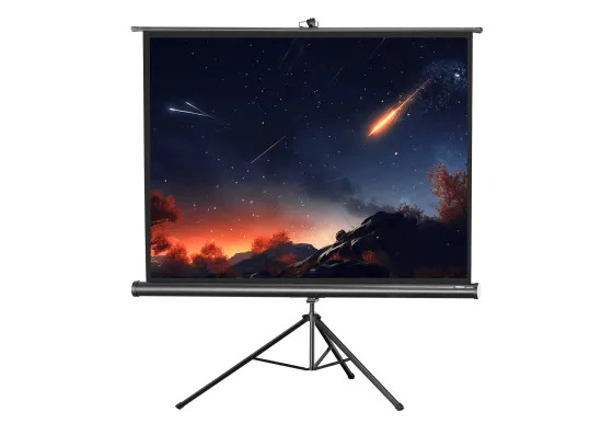 Ecran de projection sur pied celexon Economy 244 x 183 cm