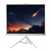 Ecran de projection sur pied celexon Economy 244 x 183 cm- White Edition