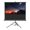 Ecran de projection sur pied celexon Economy 244 x 138 cm