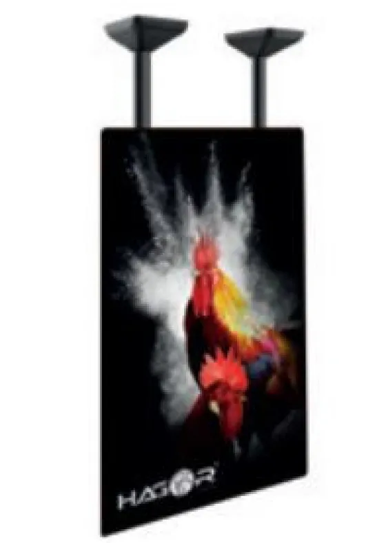 Hagor PLD Single HD Portrait - Support plafond pour charges lourdes - 75-100" | max. VESA 900x600 | charge admissible 100 kg - Portrait