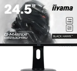 iiyama 24,5" TN Moniteur, 1920 x 1080 Full HD, 1ms