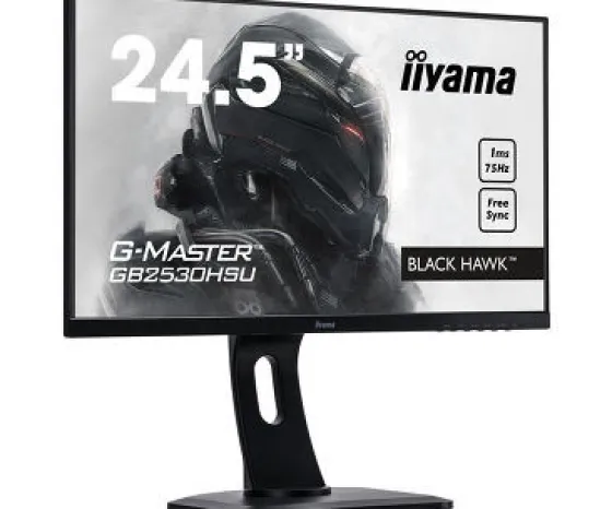 iiyama 24,5" TN Moniteur, 1920 x 1080 Full HD, 1ms