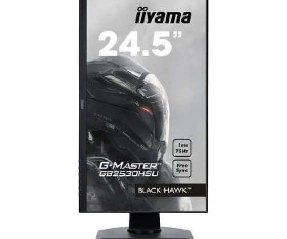 iiyama 24,5" TN Moniteur, 1920 x 1080 Full HD, 1ms