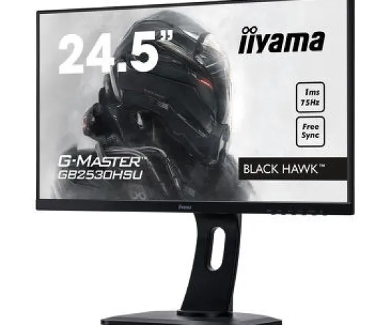 iiyama 24,5" TN Moniteur, 1920 x 1080 Full HD, 1ms