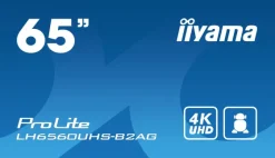 iiyama LH6560UHS-B2AG - Display 65"
