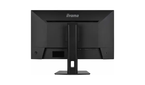 iiyama ProLite XB3294UHSCP-B1 Écran VA 4K 32 pouces avec USB-C (95 W), commutateur KVM et PiP/PbP