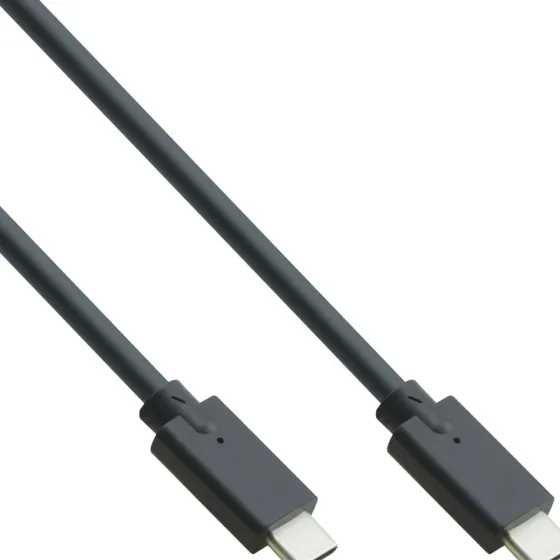 Inline Câble USB 3.2 Gen.2 – connecteur USB Type-C/connecteur USB Type-C, noir, 1 m