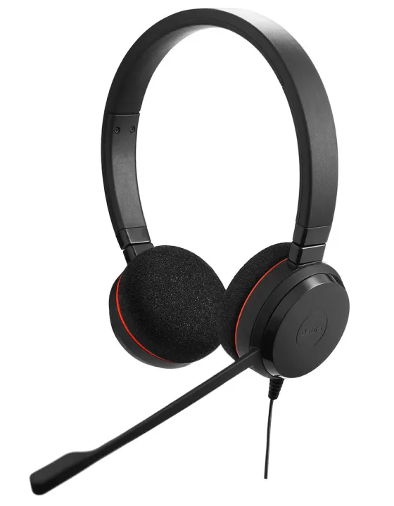 Jabra Evolve 20 MS Duo - certifié pour Skype for Business casque stéréo pour téléphone logiciel VoIP