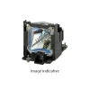 Lampe de rechange pour Dell 4210X, 4310WX, 4610X - Module Compatible UHR (remplace: 725-10134)
