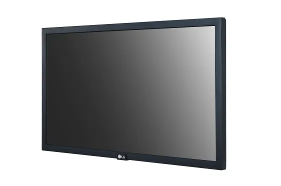 LG 22SM3G-B 22" Display