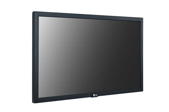 LG 22SM3G-B 22" Display
