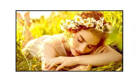 LG 65UL5Q-E Affichage dynamique webOS 4K UHD de 65 pouces pour un fonctionnement 24 heures sur 24, 7 jours sur 7