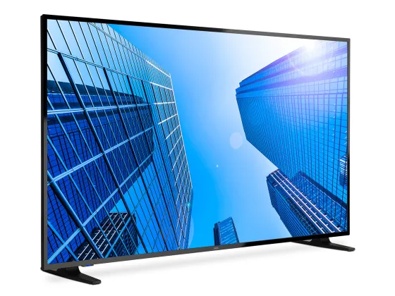 NEC 65" Display