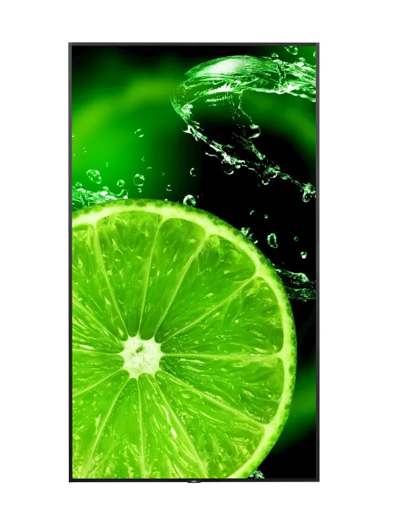 NEC E988 98" Display