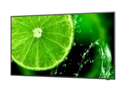NEC MultiSync E328-2 32" Display