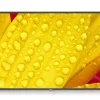 NEC MultiSync M651-2 - Display 65"