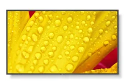NEC MultiSync M651-2 - Display 65"
