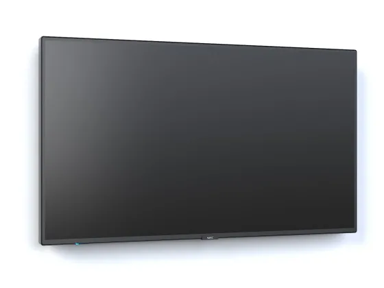 NEC MultiSync P495 49" Display