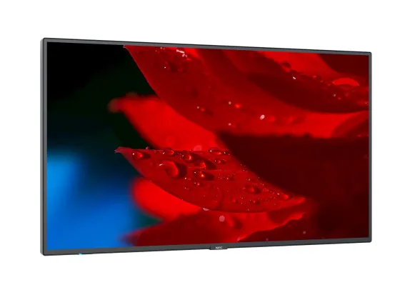 NEC MultiSync P495 49" Display
