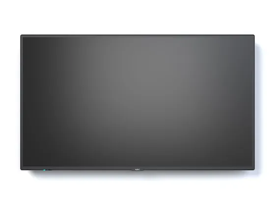 NEC MultiSync P495 49" Display