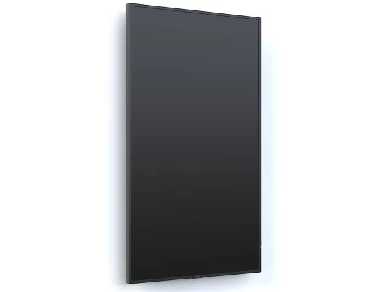 NEC MultiSync P495 49" Display