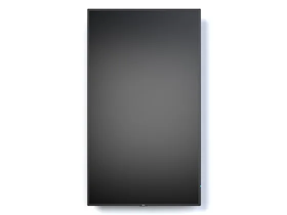 NEC MultiSync P495 49" Display