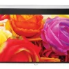 Optoma DS-1109PMG+ Écran de projection enroulable, 234 x 146,3 16:10, blanc mat