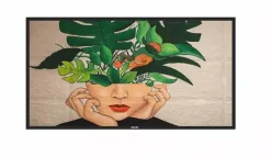 Philips 43BDL4511D/00 43" Display