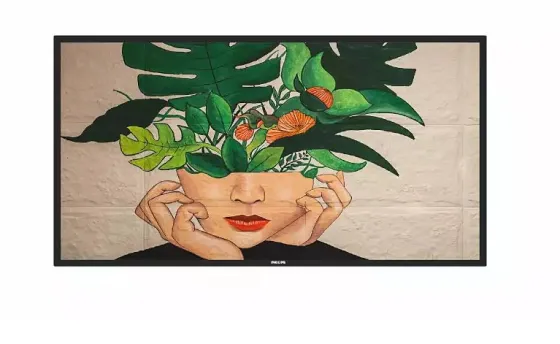 Philips 43BDL4511D/00 43" Display