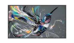 Philips 50BDL3511Q/00 50" Display