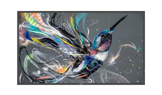 Philips 50BDL3511Q/00 50" Display